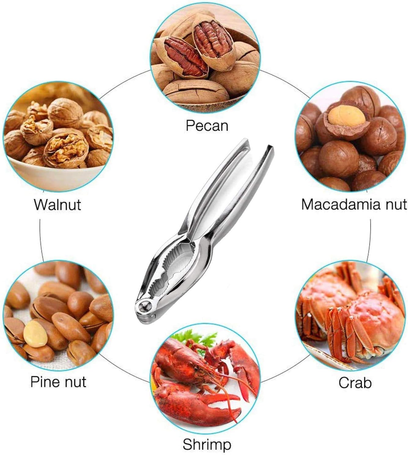 Nut Cracker